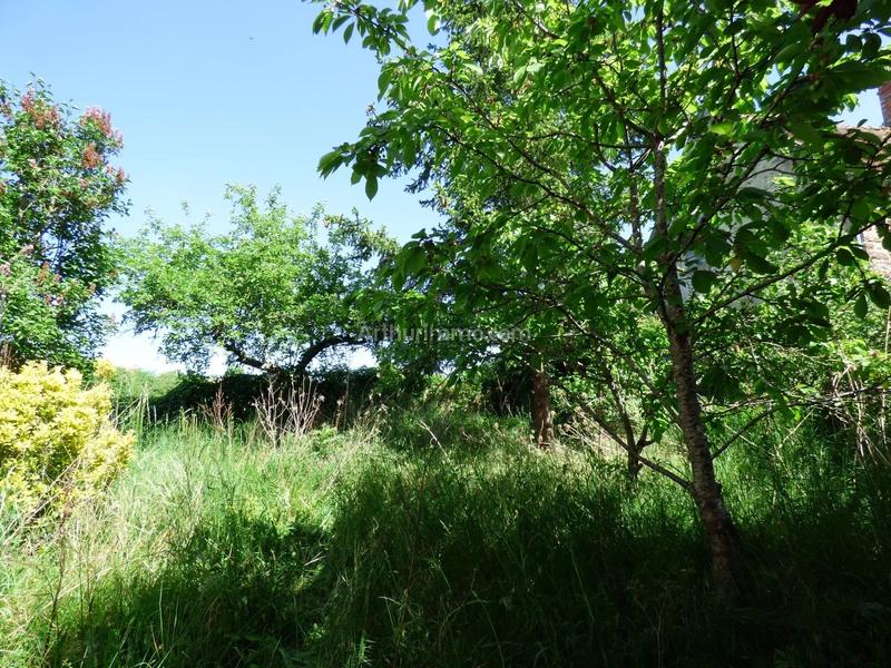 Appartement - 265 m² - 12 pièces