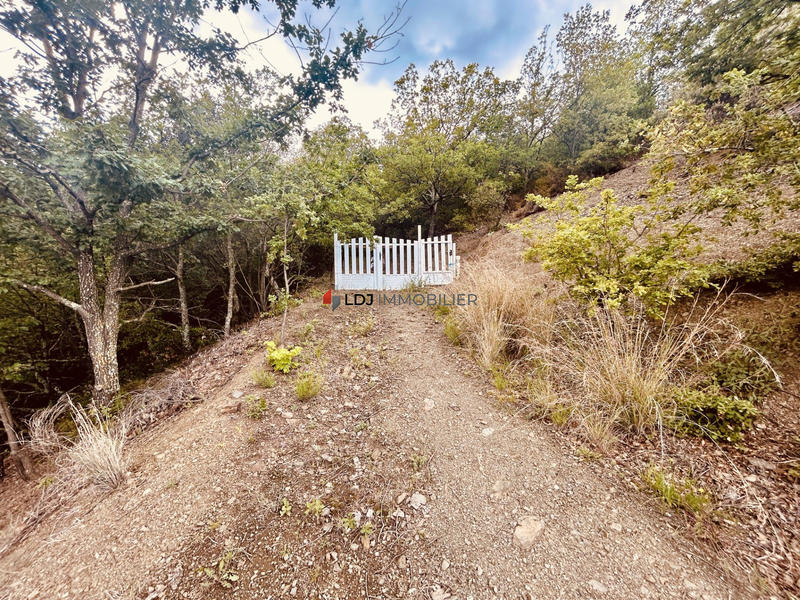 Terrain agricole - 6 500 m²