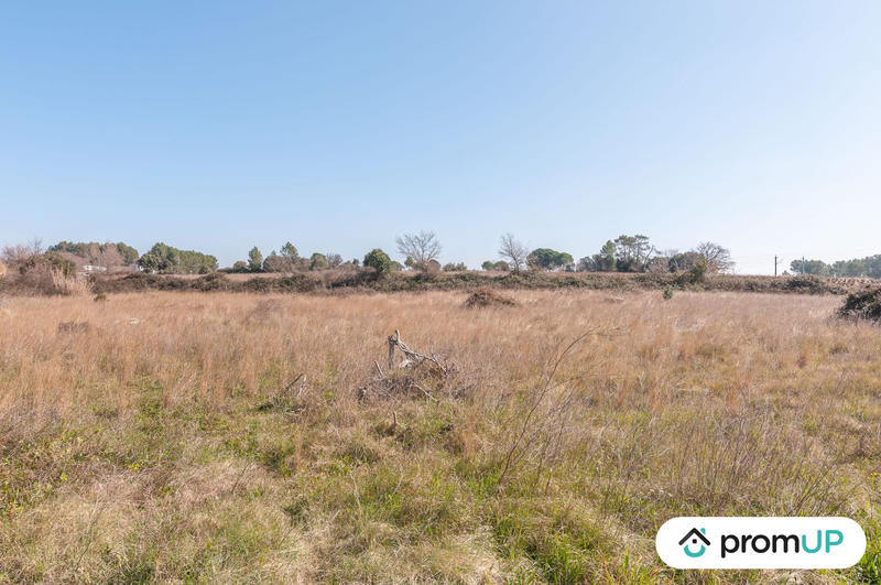 Terrain agricole - 5 000 m²