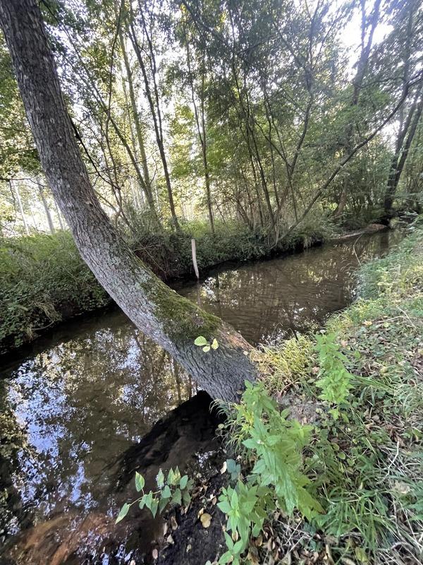 Fermette - 60 m² - 4 pièces