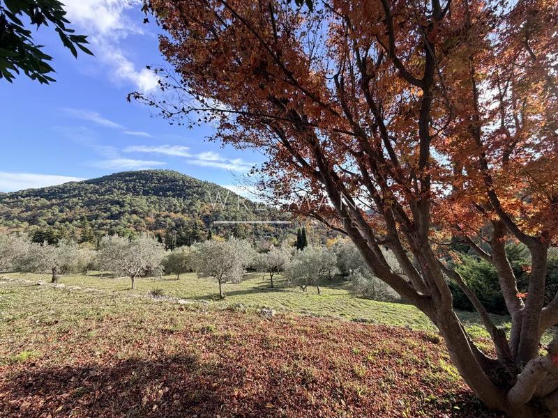 Maison - 141 m² - 5 pièces