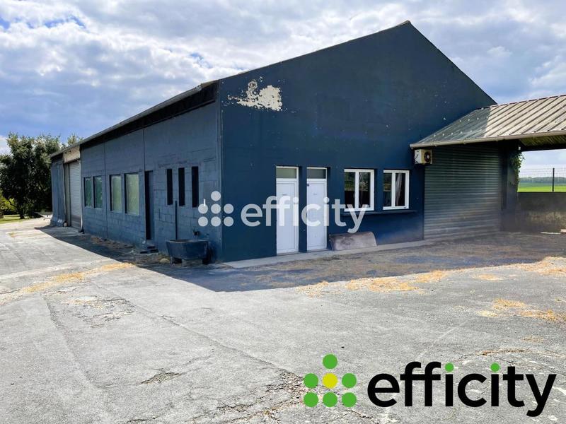 Maison - 179 m² - 5 pièces