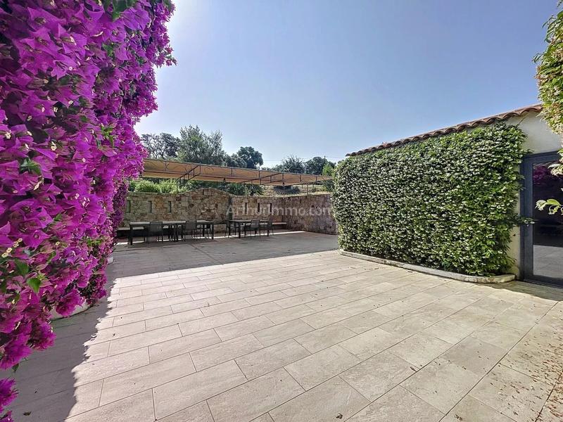 Maison - 378 m² - 7 pièces