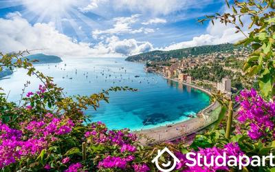 Appartement - 15 m² - 1 pièce