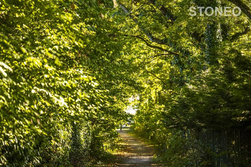 Maison ancienne - 160 m² - 5 pièces