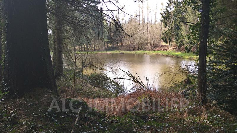 Terrain - 10 109 m²