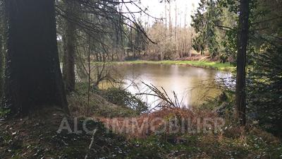 Terrain - 10 109 m²