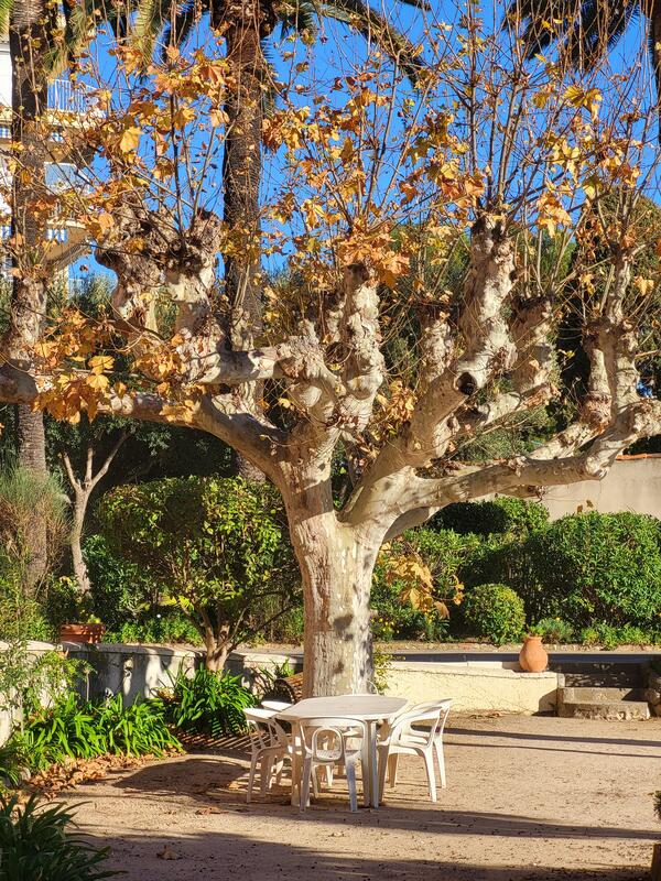 Appartement - 18 m² - 1 pièce