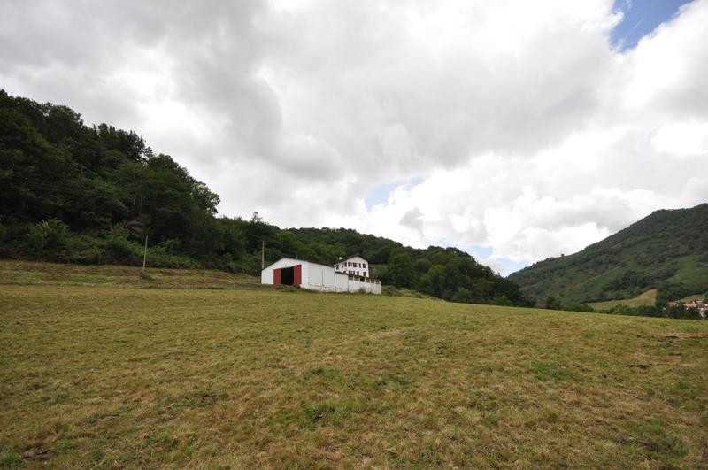 Viager - Ferme - 190 m² - 7 pièces