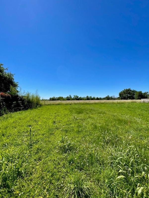 Terrain constructible - 1 954 m²