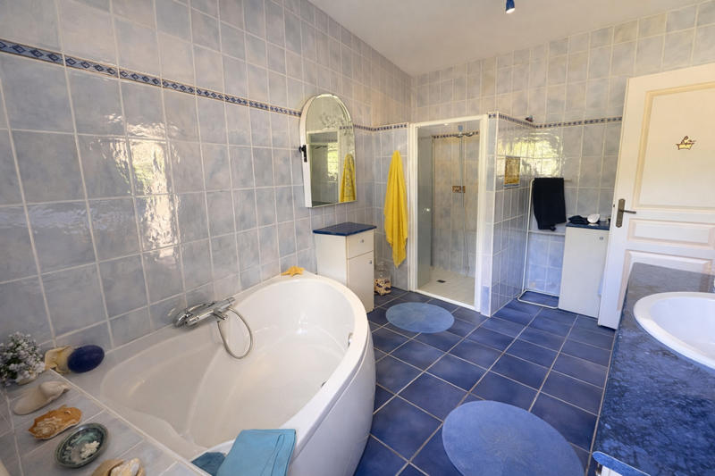 Viager - Maison - 192 m² - 5 pièces