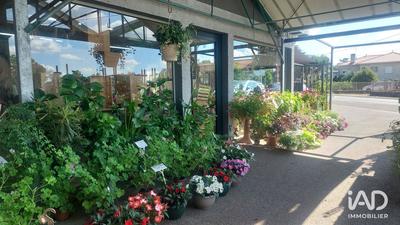 Local commercial - 800 m²