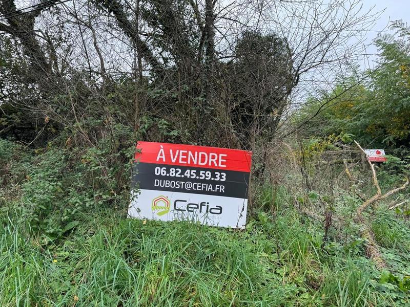 Terrain - 98 000 m²