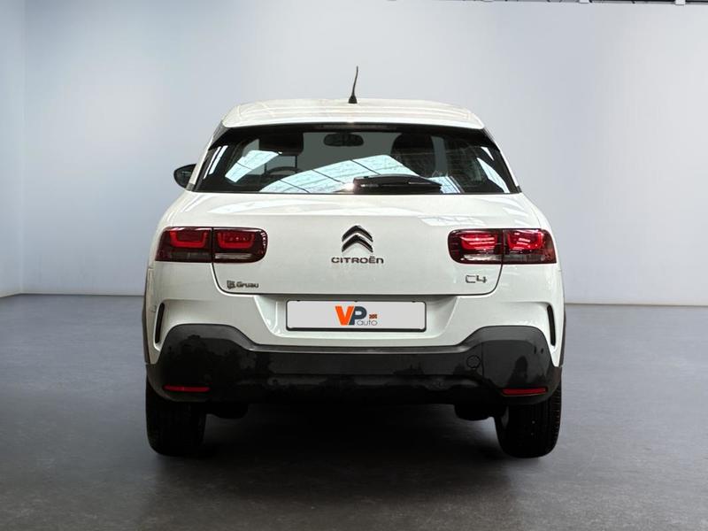 Citroën C4 Cactus Business PureTech 110 s&amp;S Bvm6 Feel