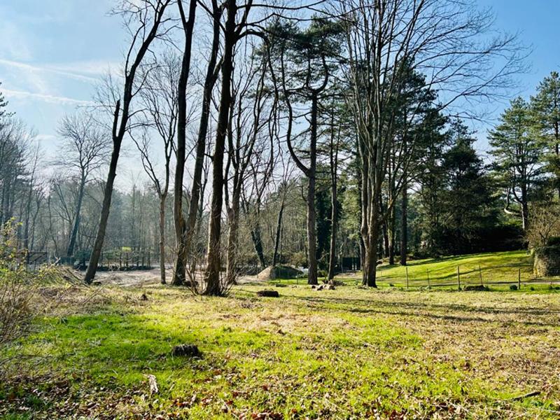 Terrain constructible - 1 834 m²