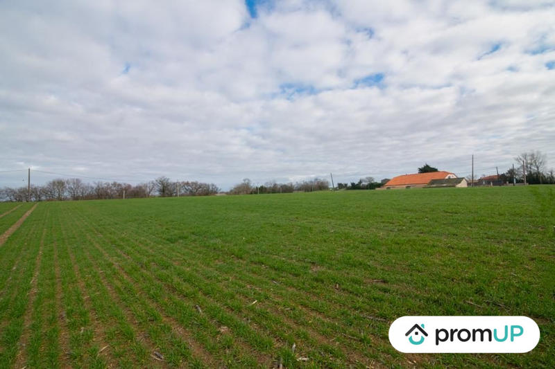 Terrain agricole - 6 000 m²