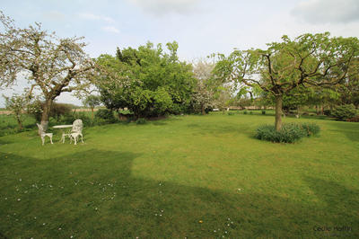 Ferme - 280 m² - 9 pièces