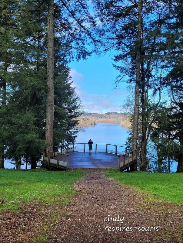 Matinée bien-être entre lumière et vibration - Août