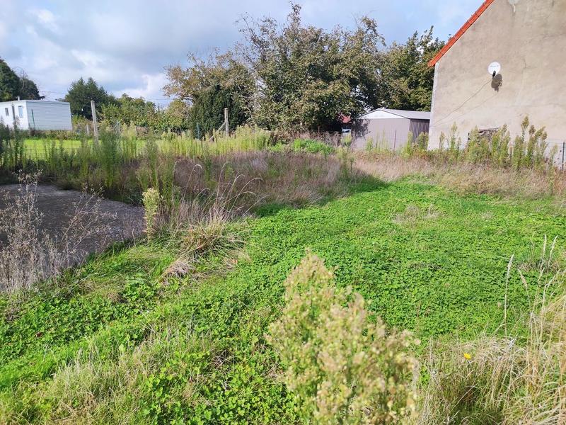 Appartement - 75 m² - 4 pièces