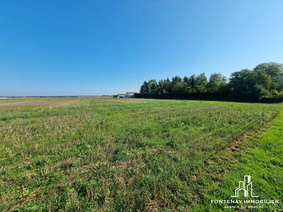 Terrain - 19 100 m²