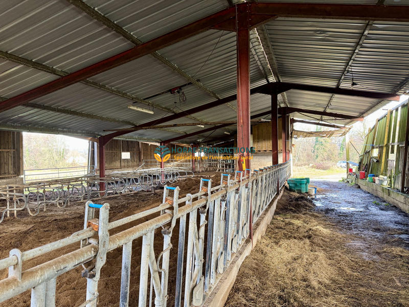 Ferme - 600 m² - 1 pièce