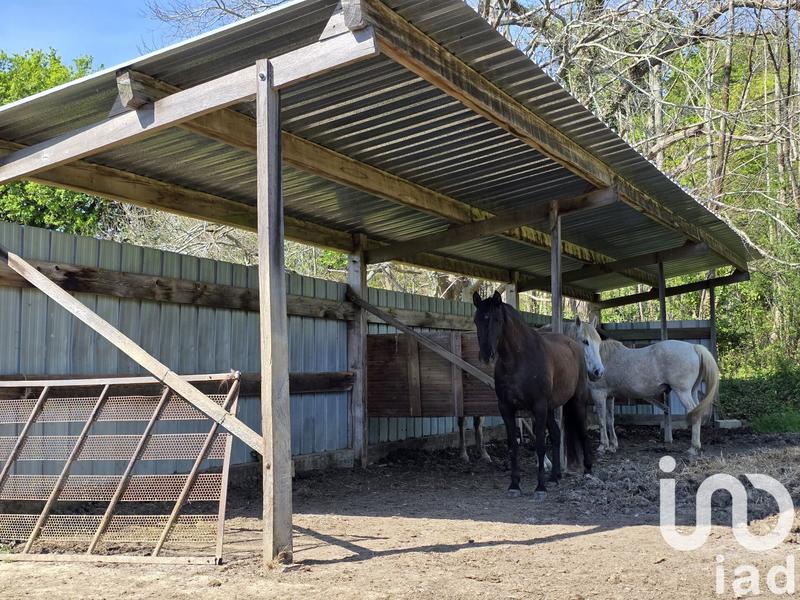 Maison - 350 m² - 11 pièces