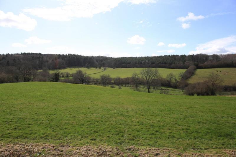 Château - 1 500 m² - 40 pièces