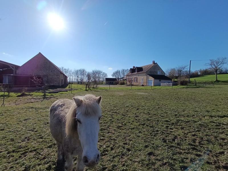 Maison de campagne - 129 m² - 5 pièces