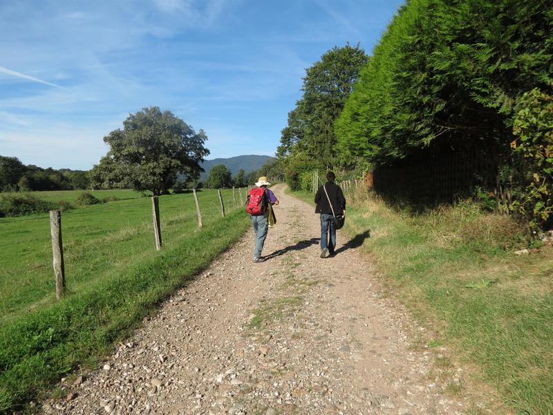 Visite guidée : le sentier géologique de Sentheim