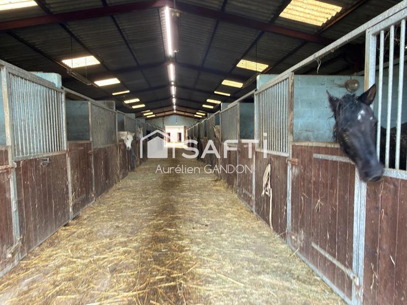 Maison - 173 m² - 7 pièces