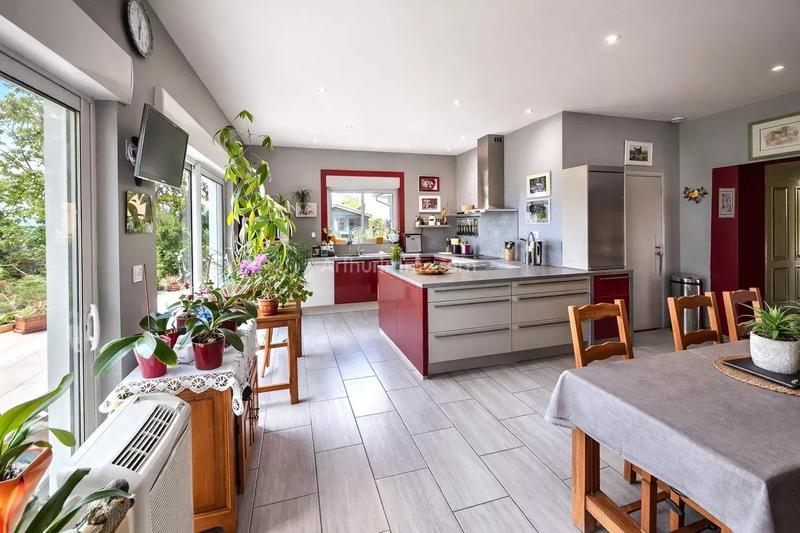 Viager - Maison - 134 m² - 6 pièces