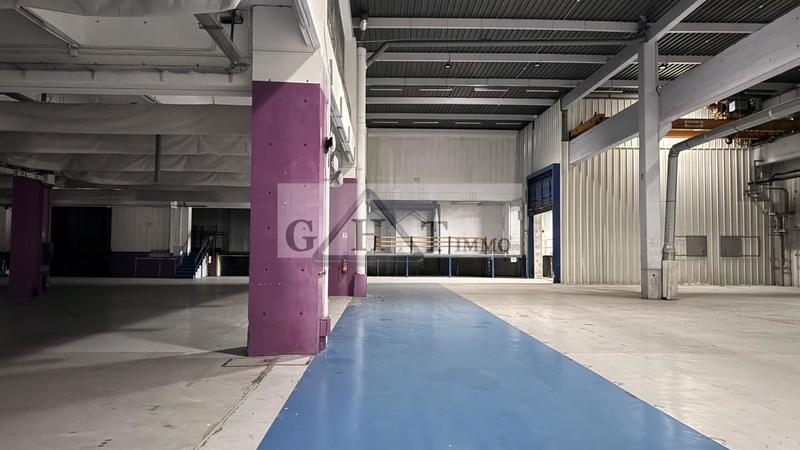 Entrepôt - 5 191 m²