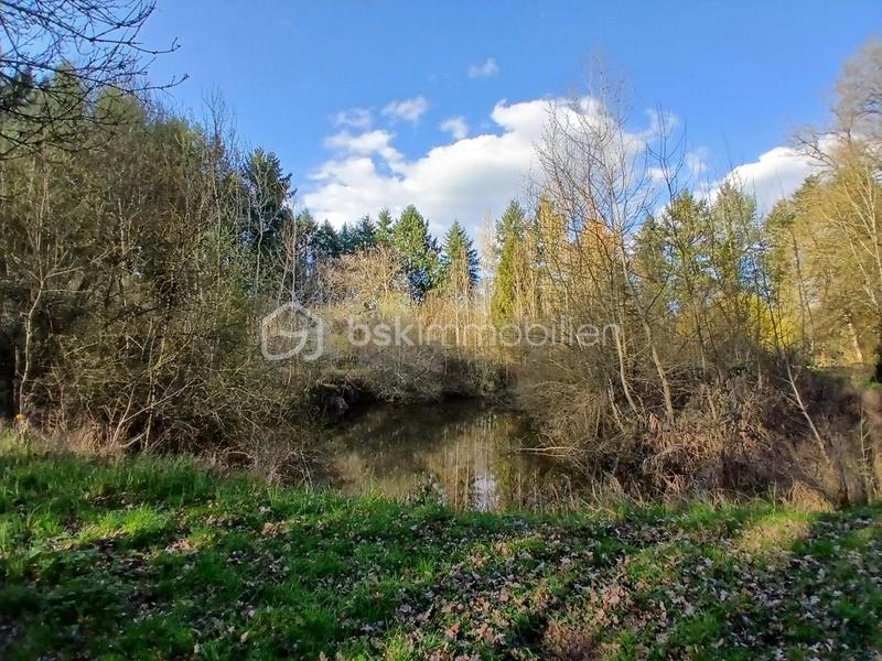 Terrain de loisirs - 10 489 m²