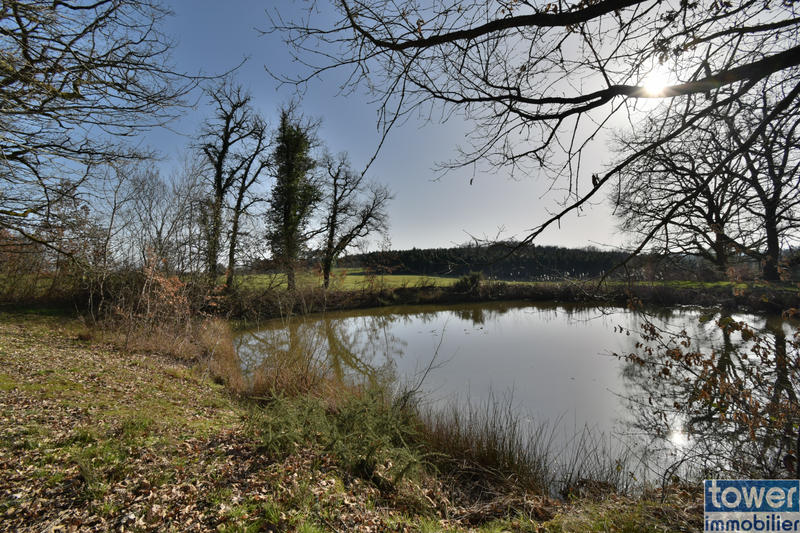 Propriété - 385 m² - 13 pièces