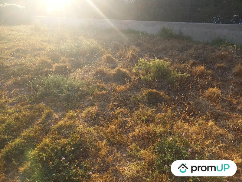 Maison - 146 m² - 5 pièces