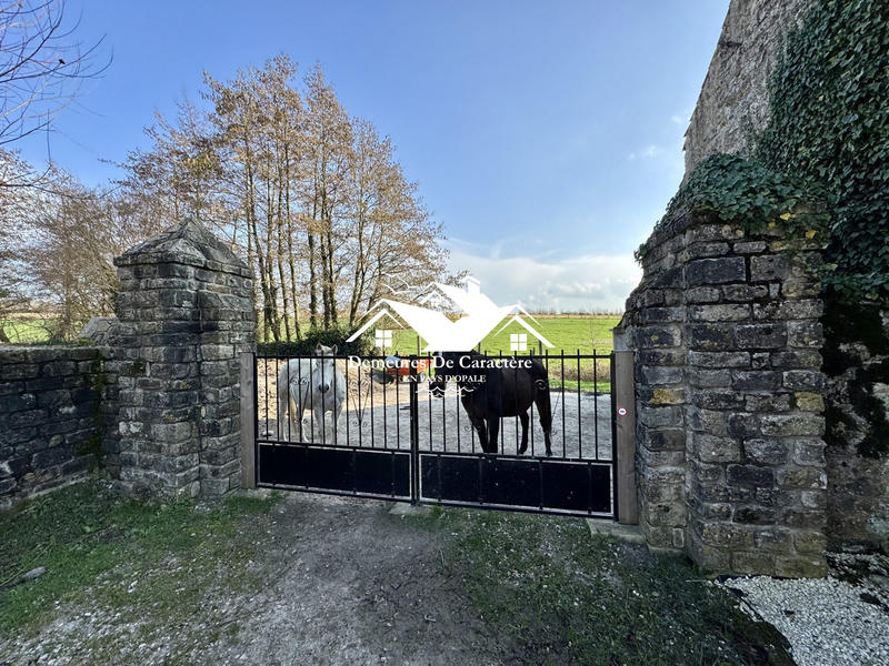 Maison - 318 m² - 12 pièces