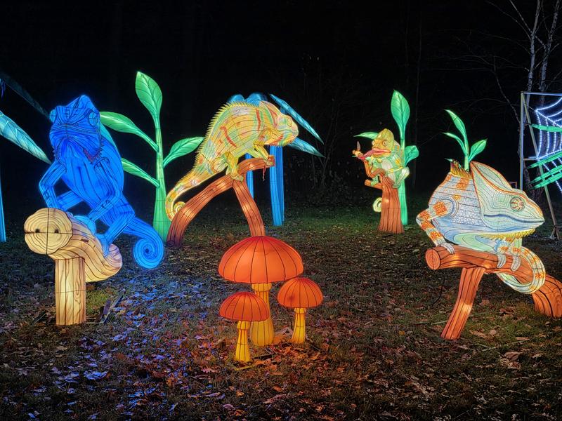 L'Odyssée Lumineuse