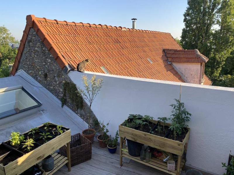 Maison - 258 m² - 10 pièces