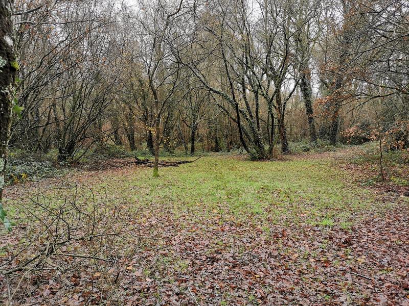 Terrain de loisirs - 18 000 m²