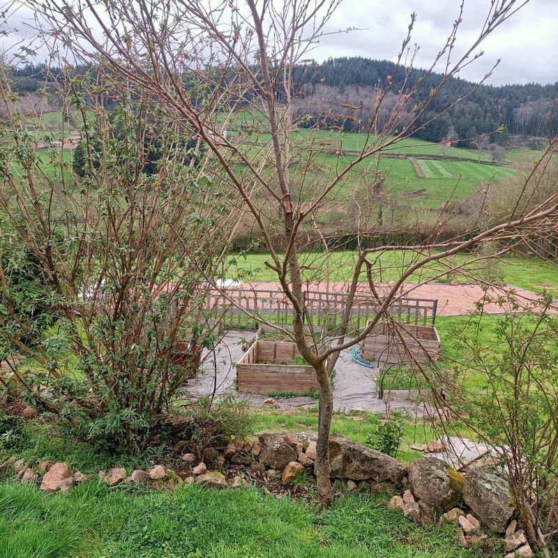 Maison de campagne - 200 m² - 8 pièces