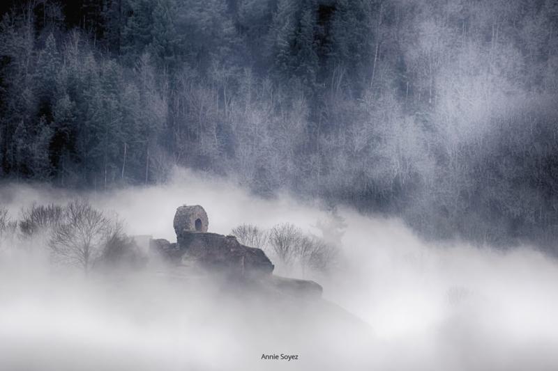 Promenades photographiques du Rangen – Édition Amateurs 2025-2026