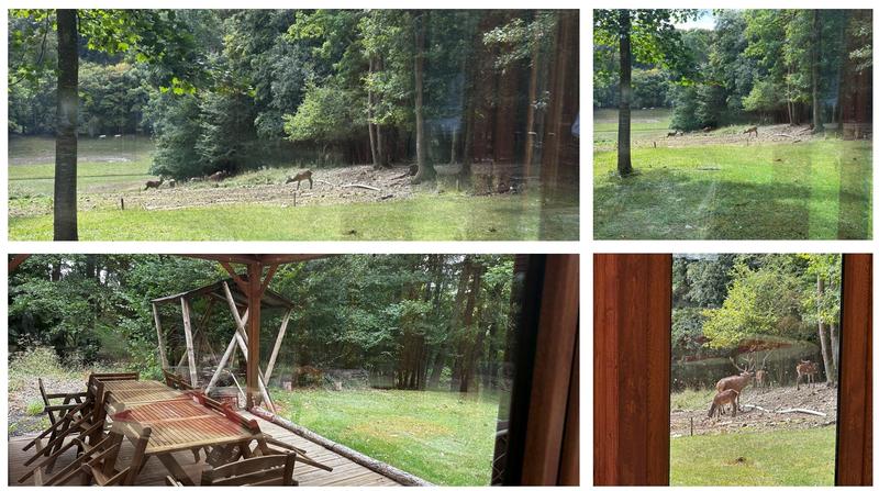 Terrain de loisirs - 850 000 m²