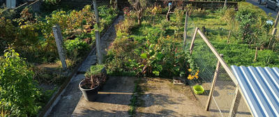 Maison - 96 m² - 6 pièces