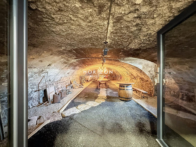 Maison ancienne - 433 m² - 10 pièces