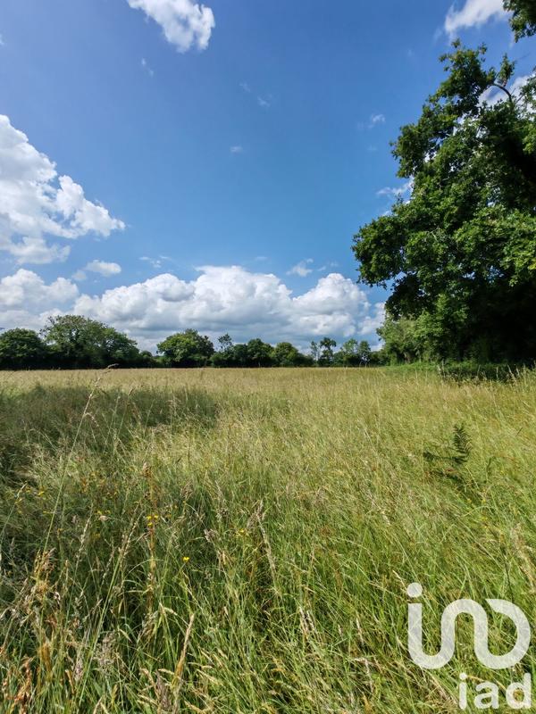 Terrain - 31 982 m²