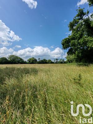 Terrain - 31 982 m²