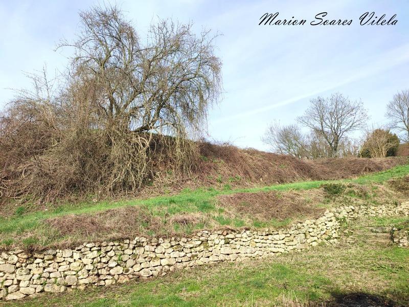 Terrain constructible - 2 976 m²