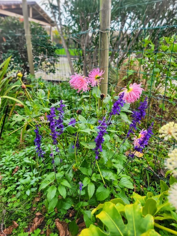 Maison - 180 m² - 8 pièces