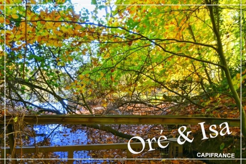 Terrain - 49 655 m²