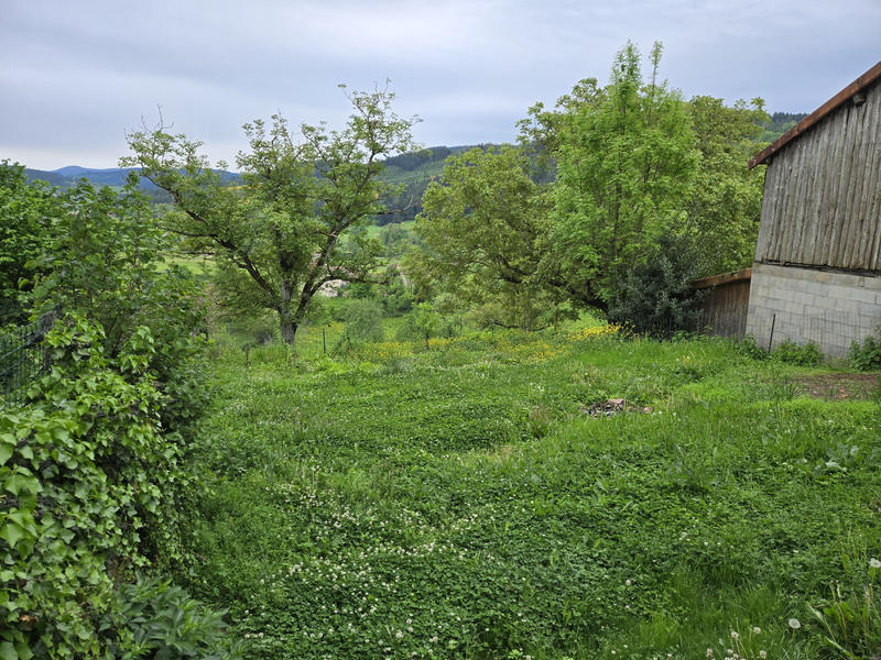 Maison - 217 m² - 8 pièces